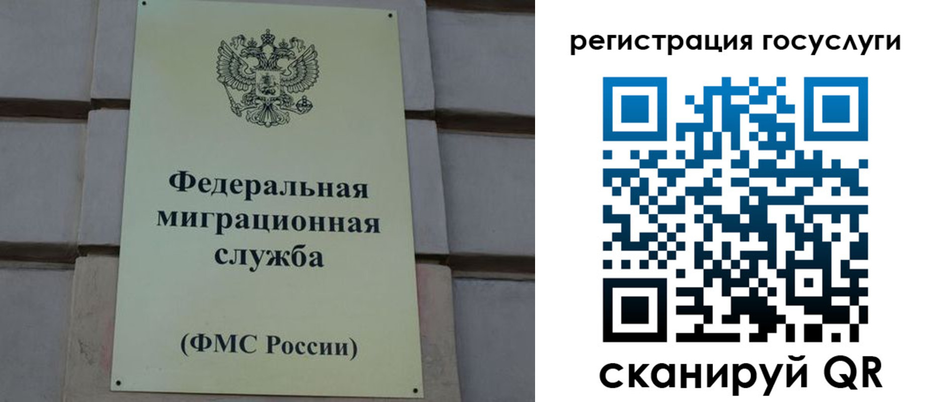 временная регистрация поиск в Брянске